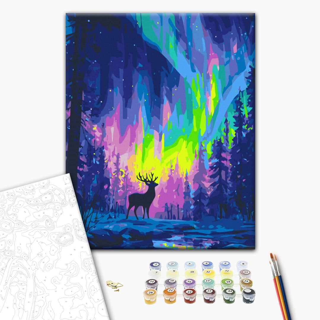 Painting by numbers Polar lights (BS54493)