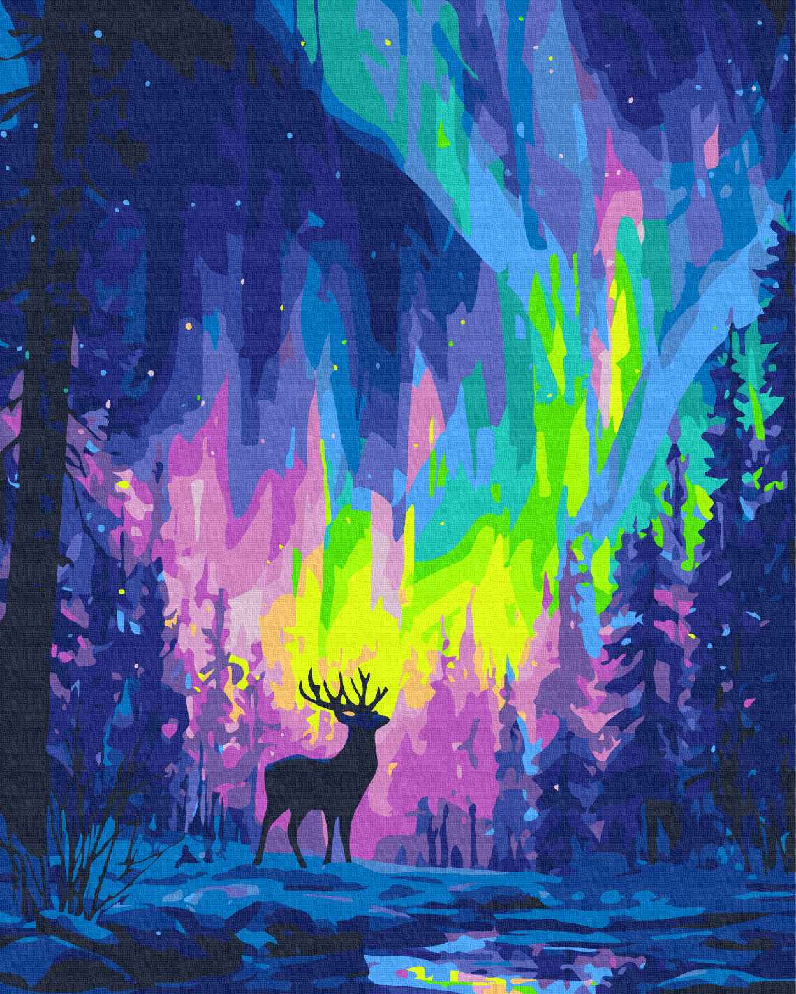 Painting by numbers Polar lights (BS54493)