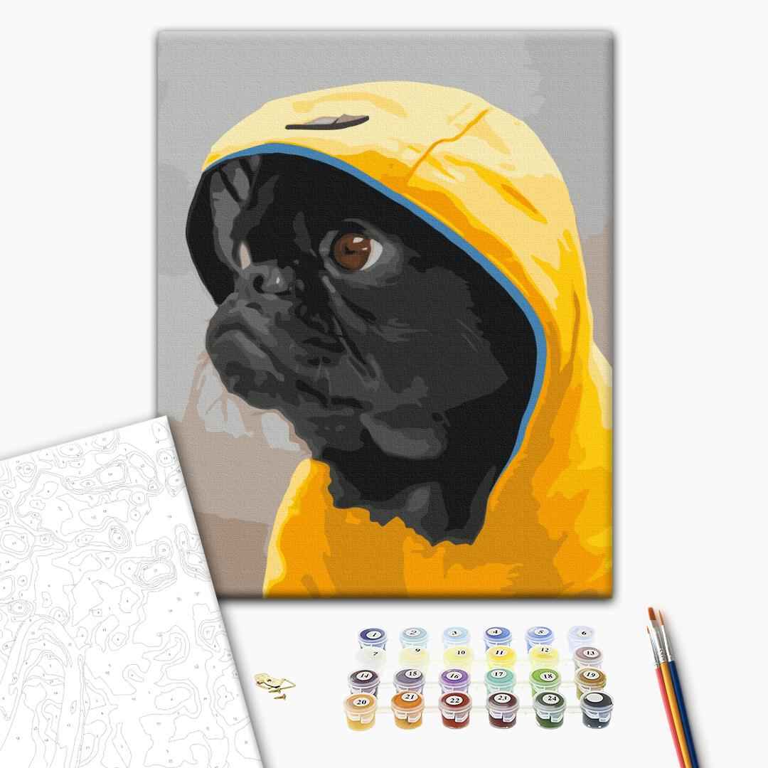 Painting by numbers Pug in a hood (RBS52614)