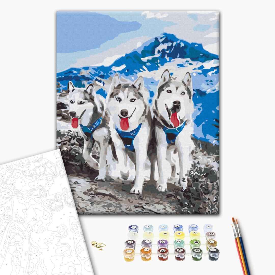 Painting by numbers Husky friends (RBS52389)