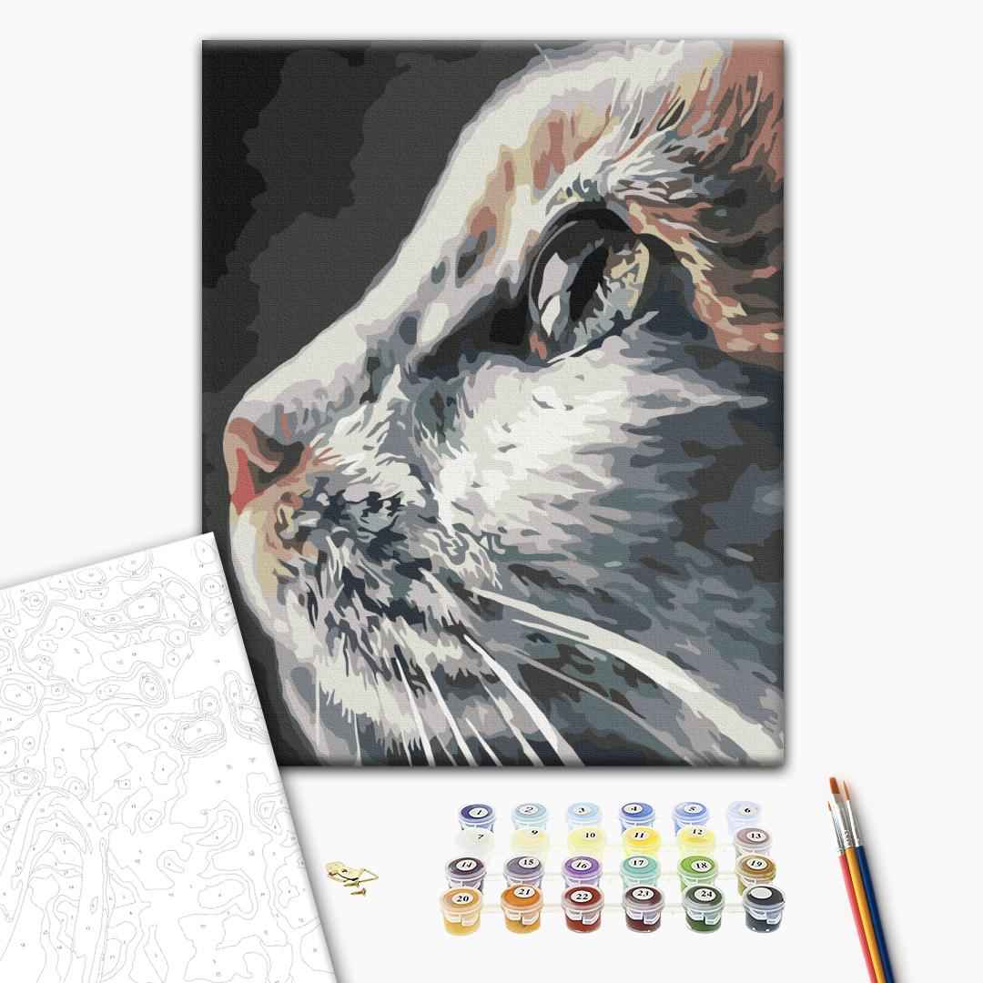 Painting by numbers Cat profile (RBS51792)