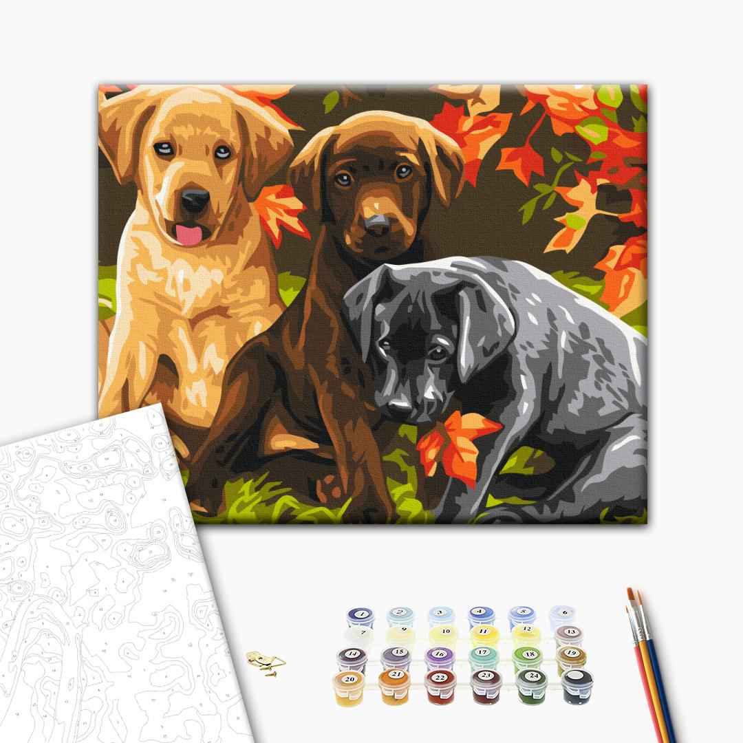 Painting by numbers Three puppies (RBS6530)