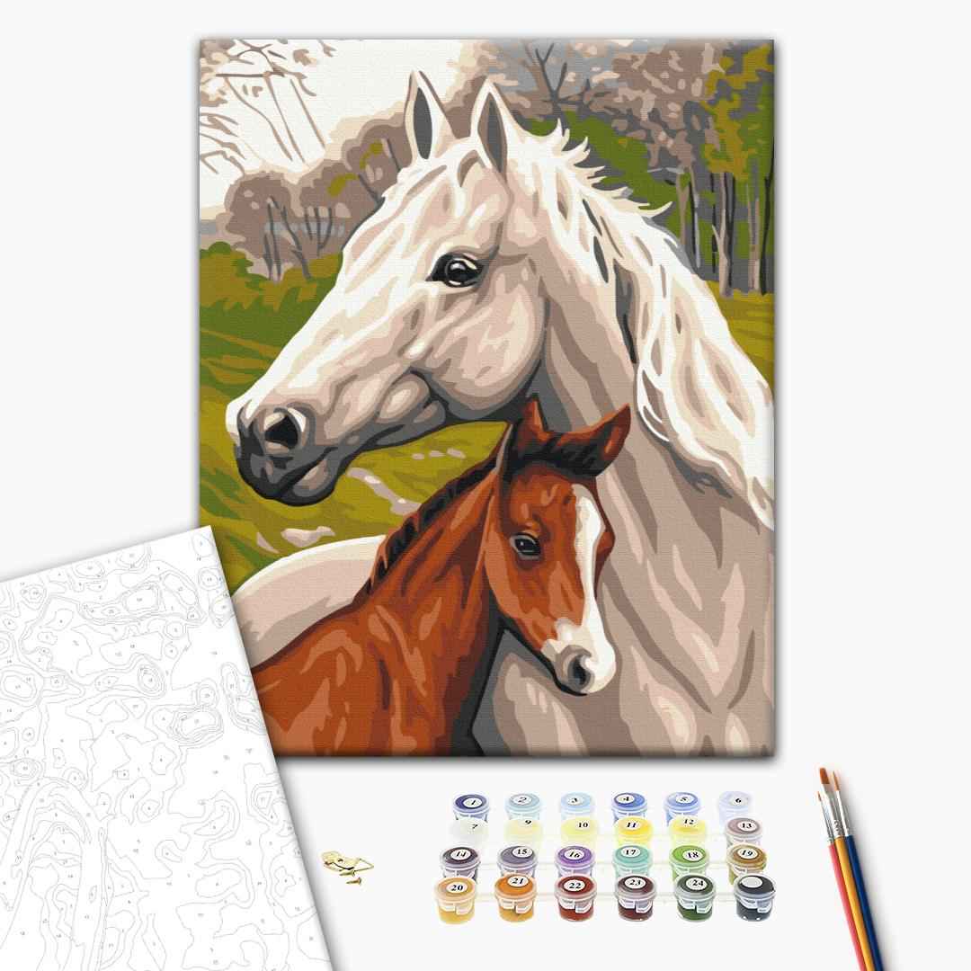 Painting by numbers Horse family (RBS33101)