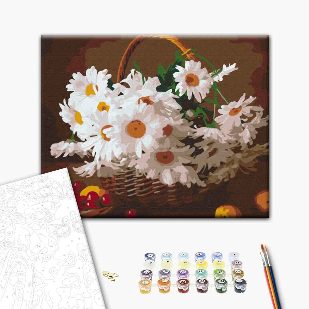 Painting by numbers Wild daisies (RBS29376)