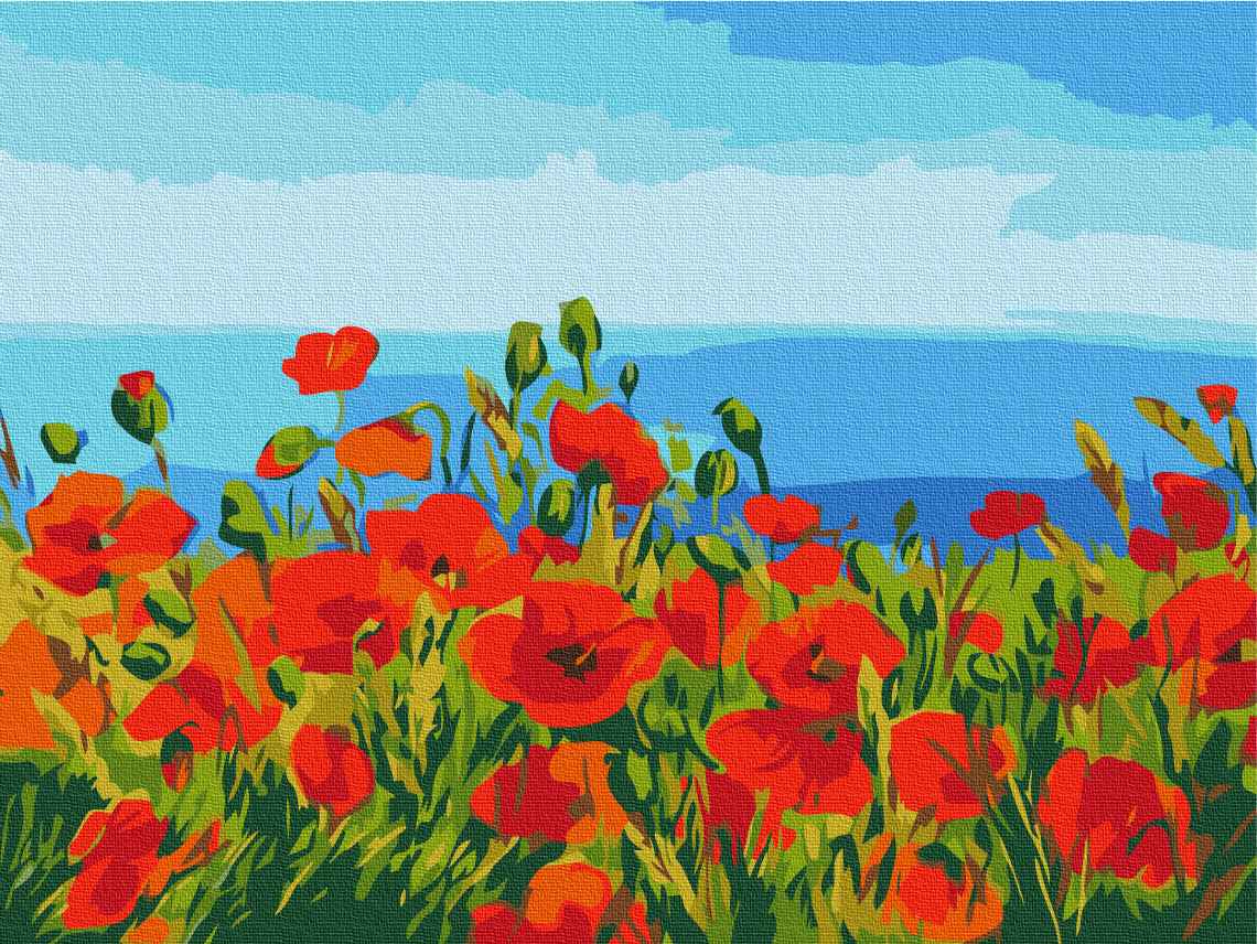 Painting by numbers Field of poppies. Claude Monet (BS1005)