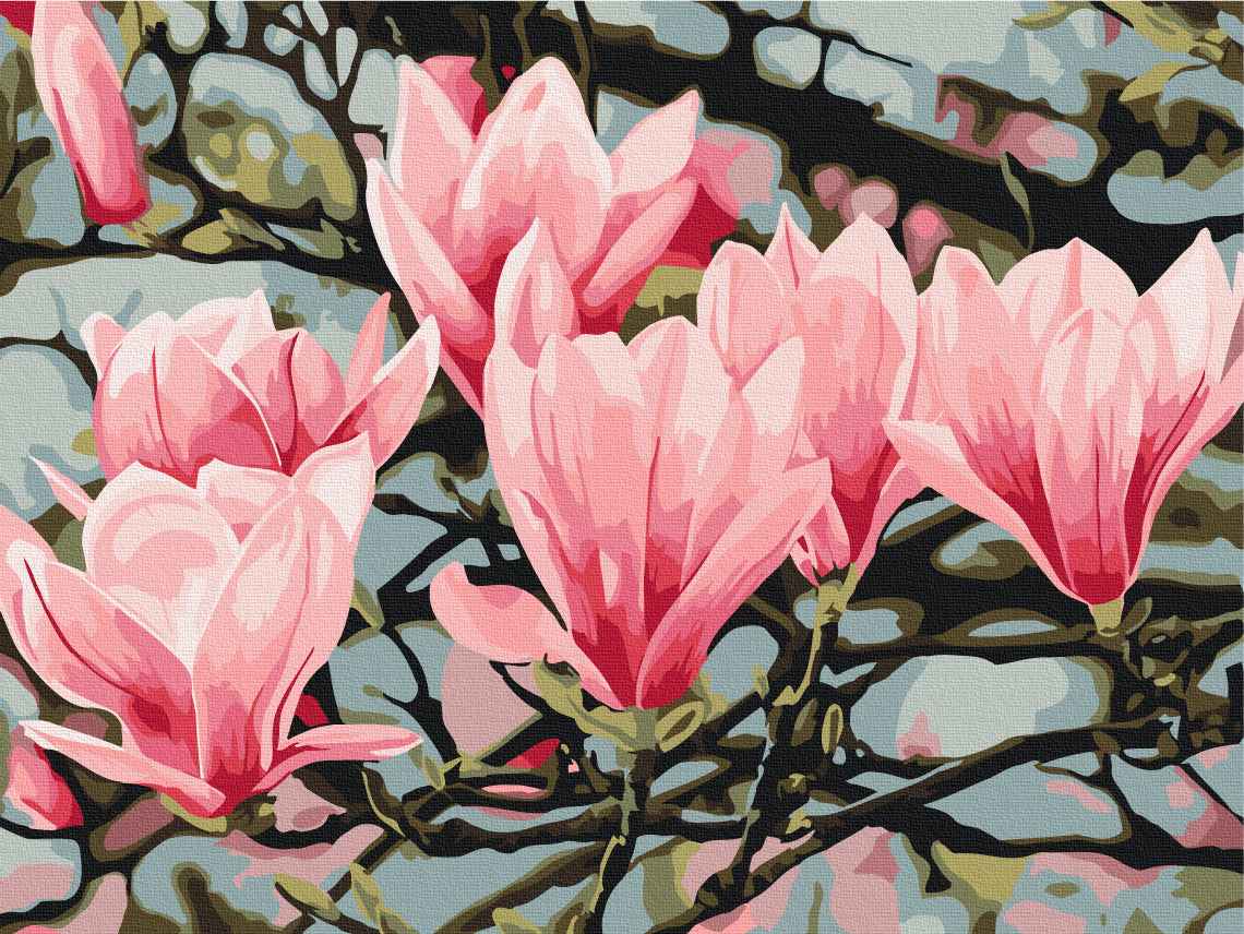 Painting by numbers Magnolia flower © Anastasia Osmolovskaya (RBS54135)