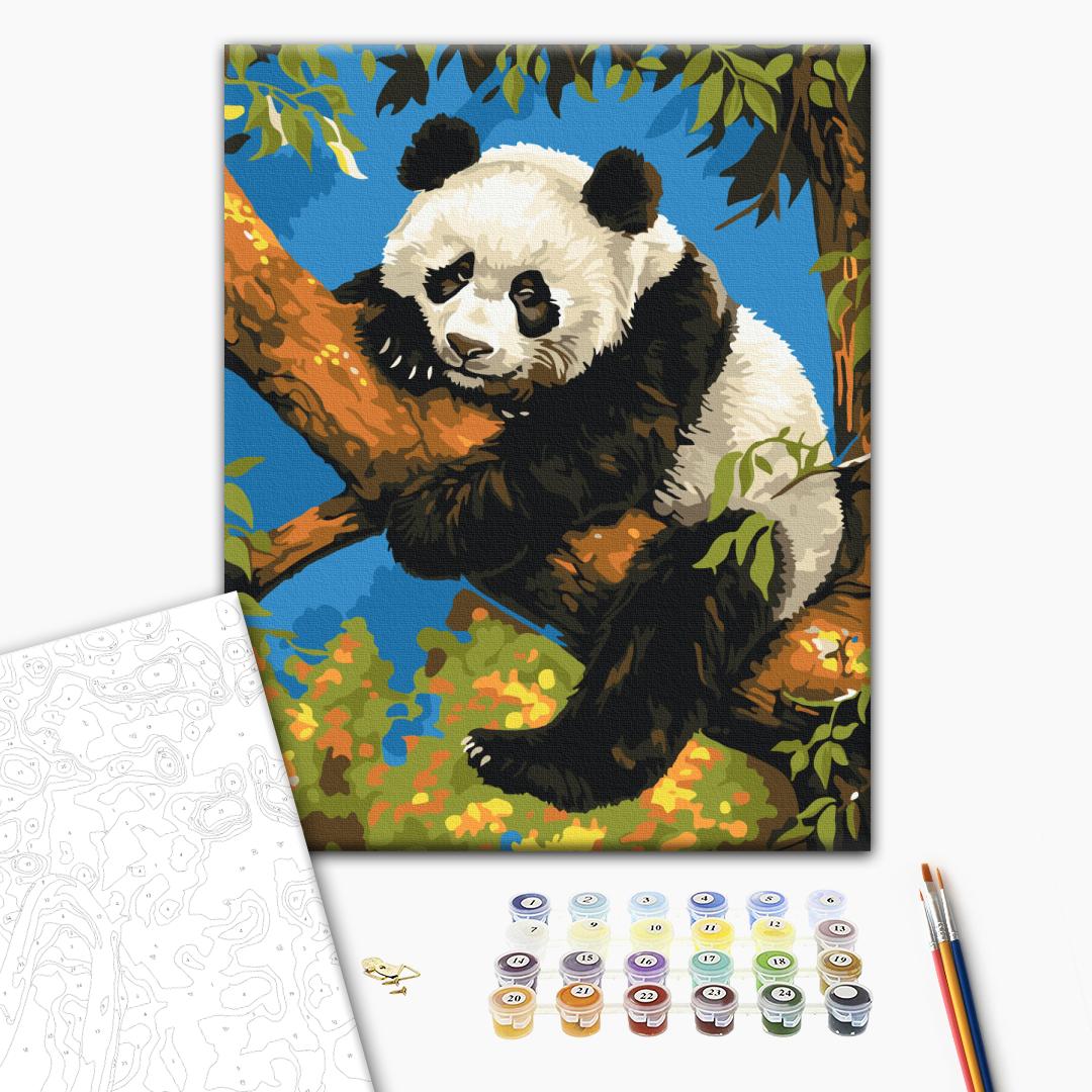 Painting by numbers Lazy panda (RBS53982)