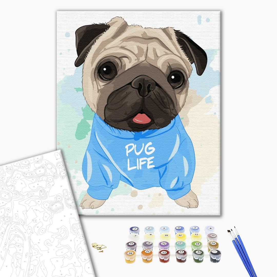 Painting by numbers Bright pug (BS51352)