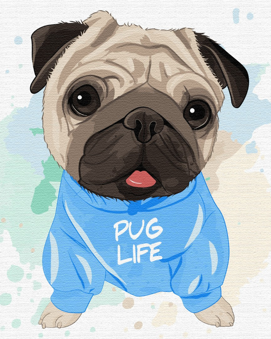 Painting by numbers Bright pug (BS51352)