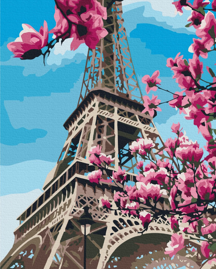 Painting by numbers Magnolia Blossom in Paris (BS32320)