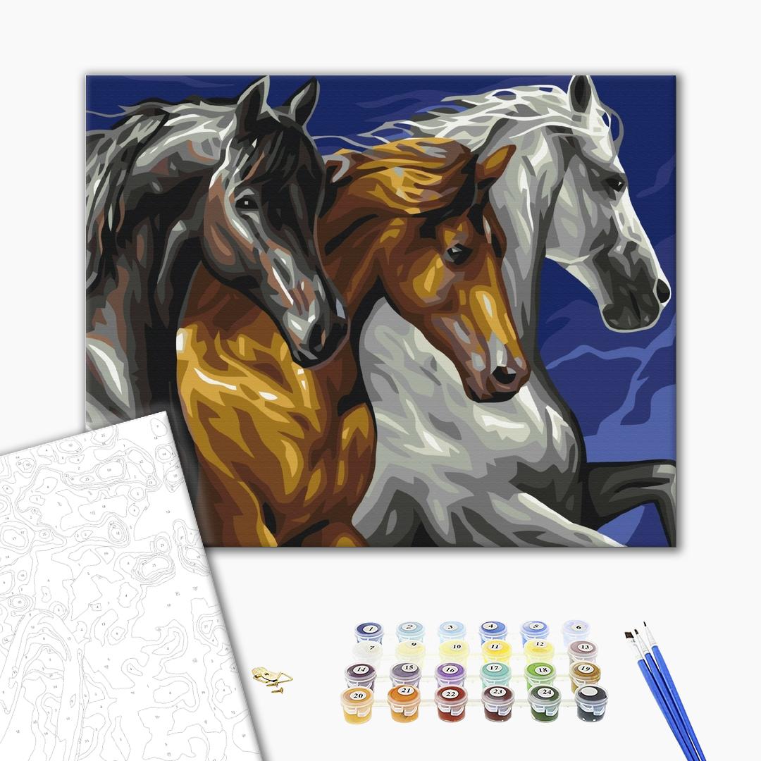 Painting by numbers Horse trio (BS5268)