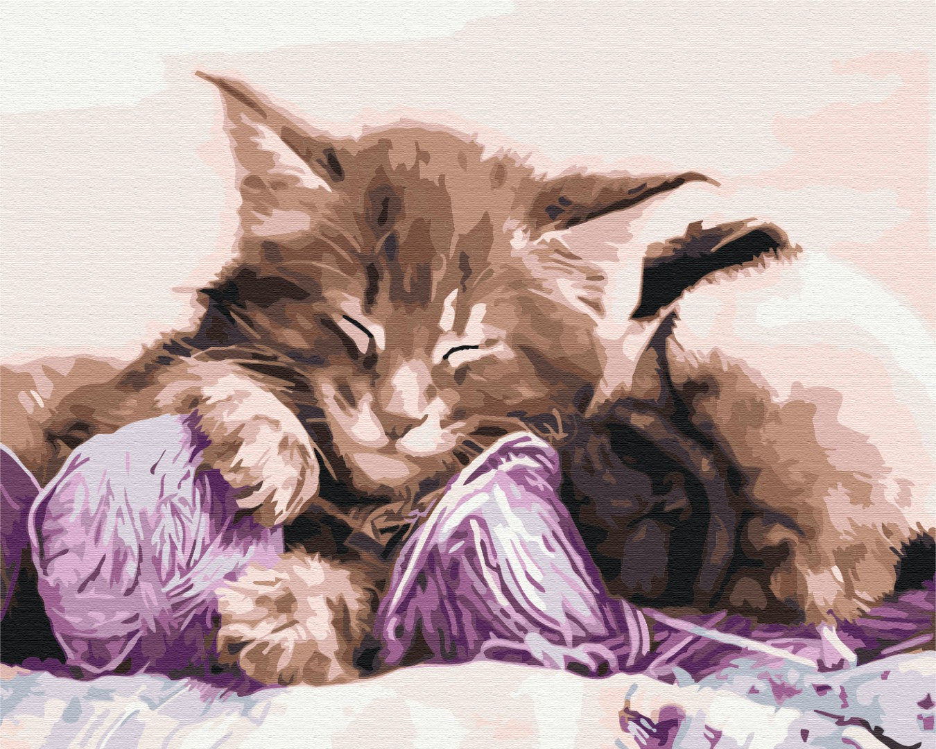 Painting by numbers Grandmother's pets (BS31170)