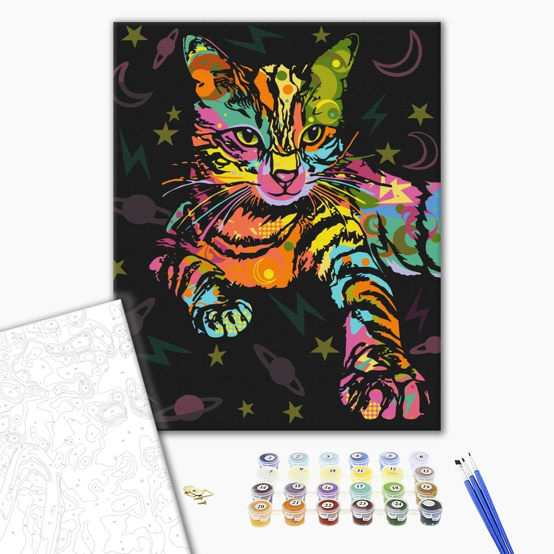 Картина по номерам Космический кот (BS51365)