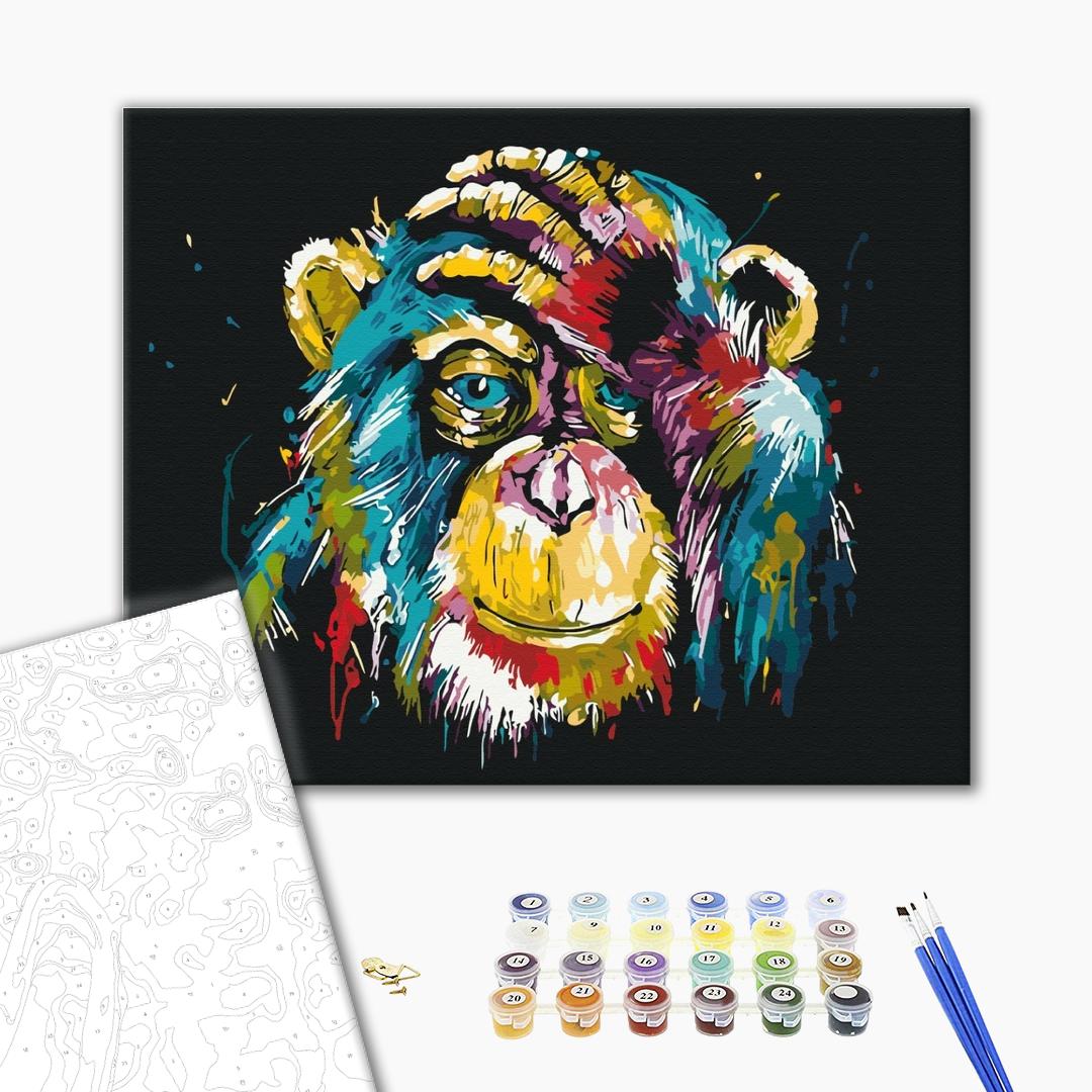 Painting by numbers Colorful chimpanzee (BS25714)