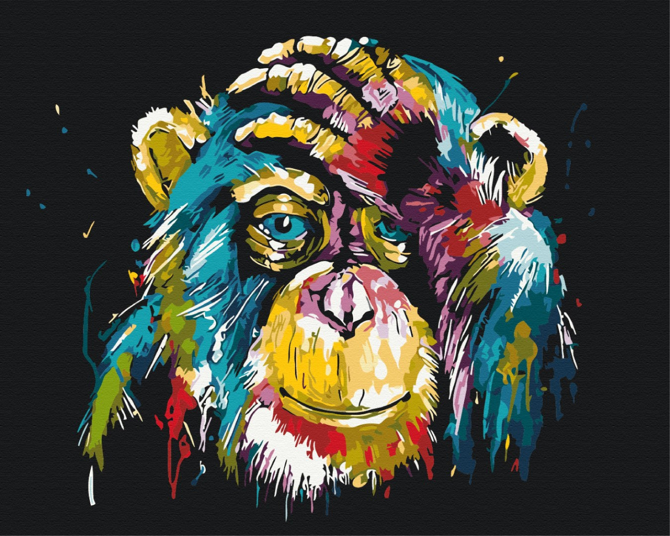 Painting by numbers Colorful chimpanzee (BS25714)