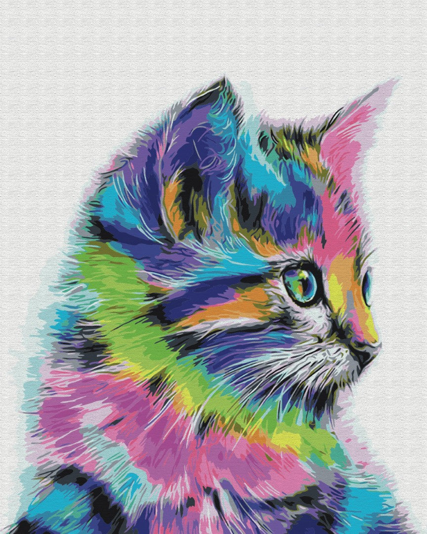 Painting by numbers Cat in paint (BS28359)