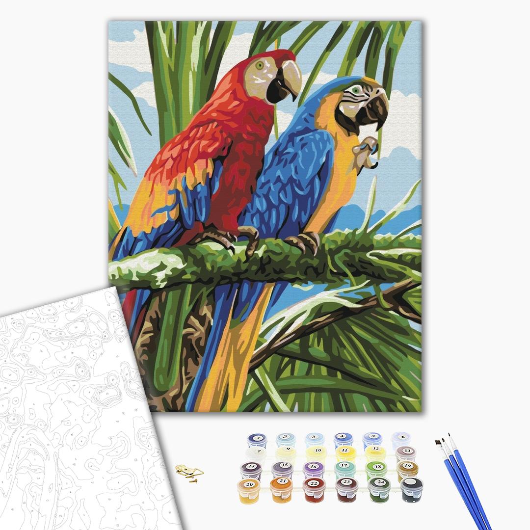 Painting by numbers Bright ara (BS22339)