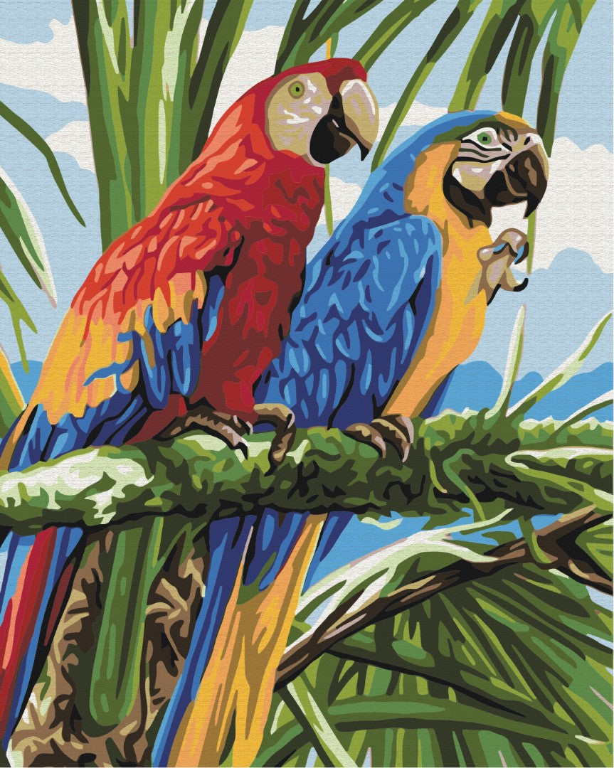 Painting by numbers Bright ara (BS22339)