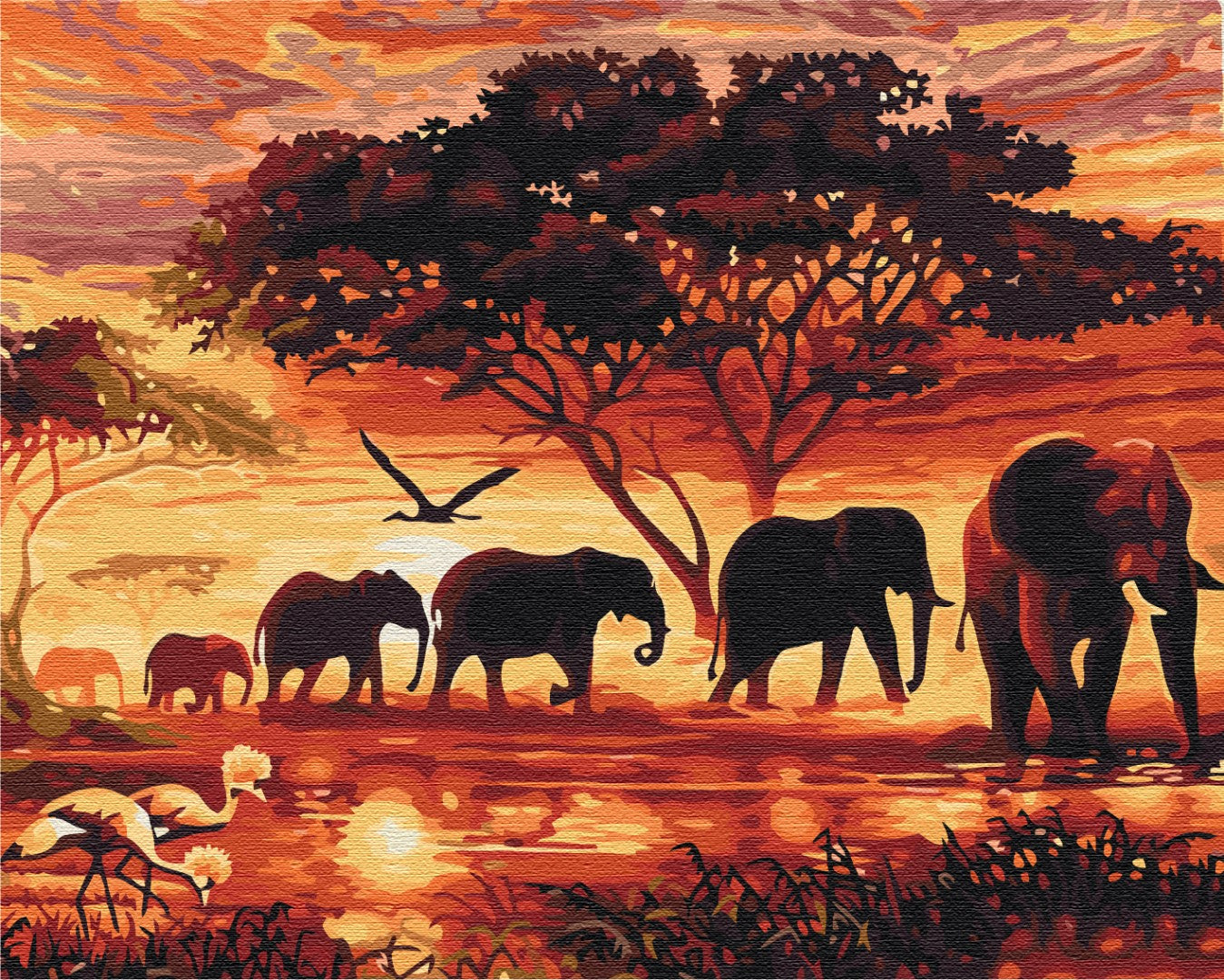 Painting by numbers Elephants in the savannah (BS5189)