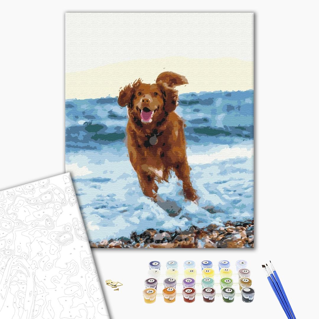 Painting by numbers Dog in the sea (BS51436)