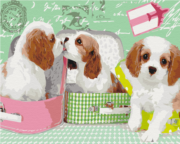 Painting by numbers Cute puppies in suitcases (BS25358)