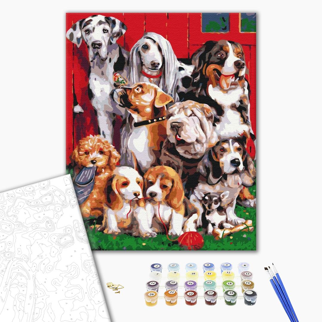 Картина по номерам Pedigree company (BS33327)