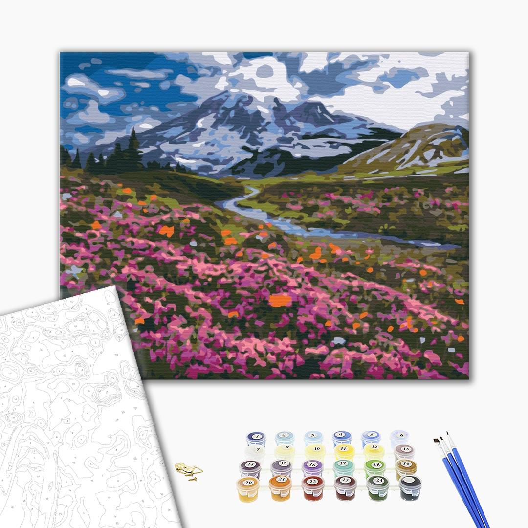 Painting by numbers Alpine meadow (BS34648)