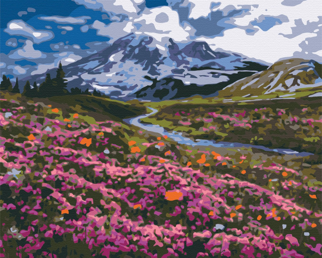 Painting by numbers Alpine meadow (BS34648)