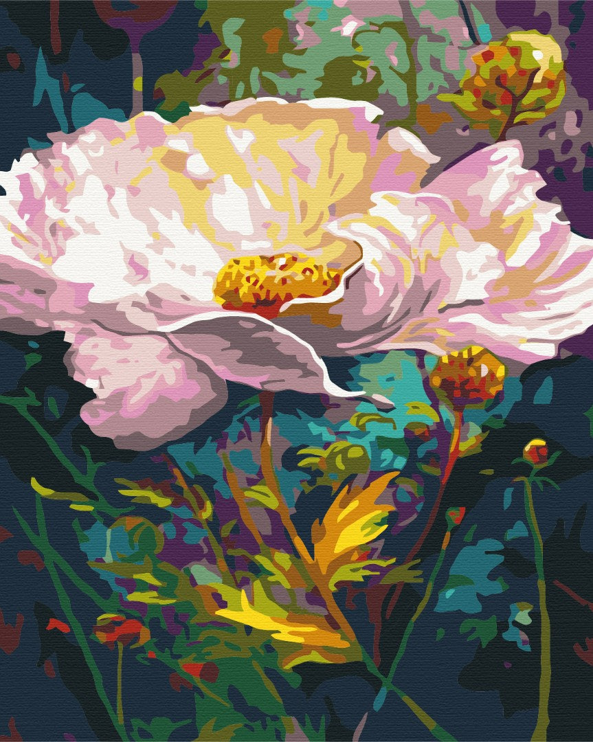 Painting by numbers Fairy flower (BS5228)