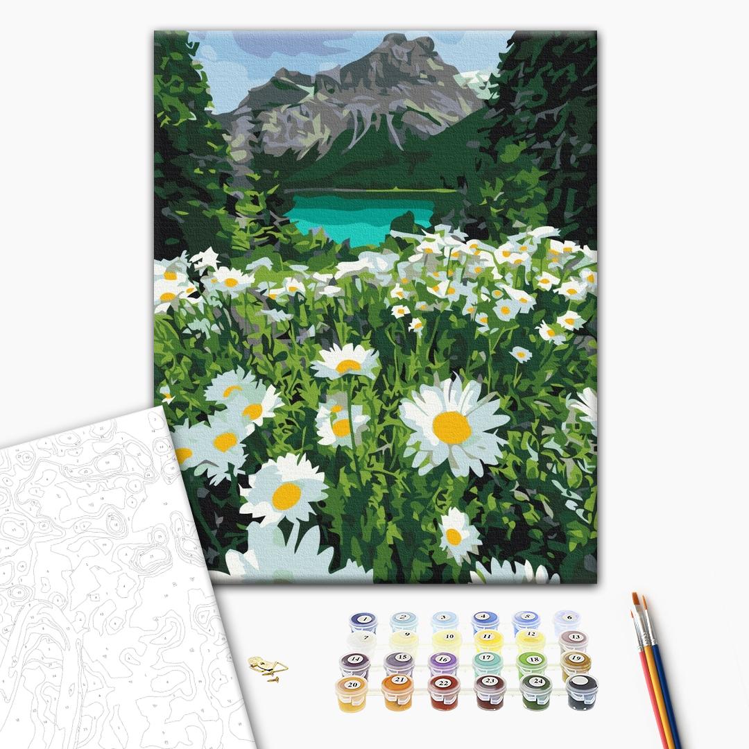 Painting by numbers Daisies by the mountains (BS29451)
