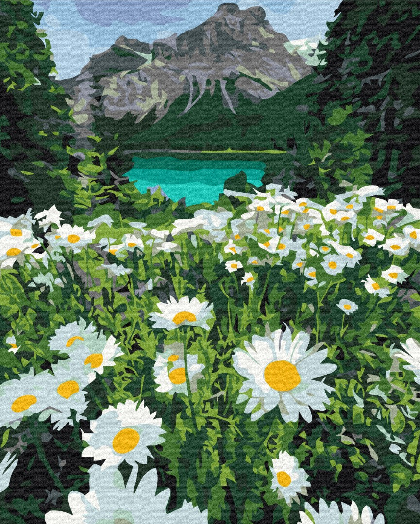 Painting by numbers Daisies by the mountains (BS29451)