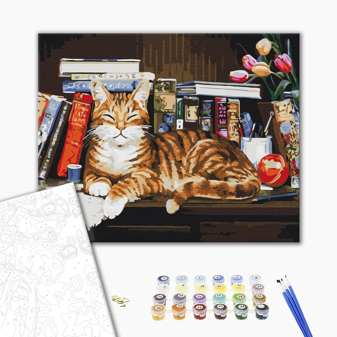 Painting by numbers Cat on the bookshelf (BS4142)
