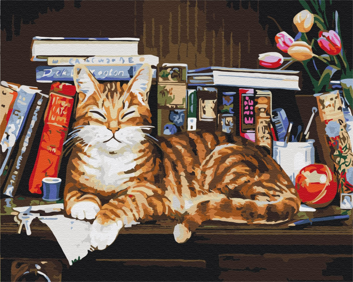Painting by numbers Cat on the bookshelf (BS4142)