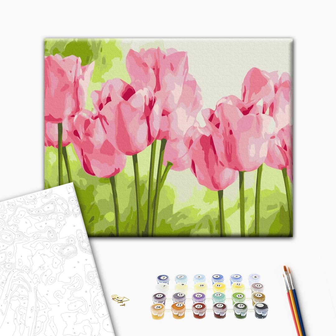 Painting by numbers Delicate tulips (BS31435)