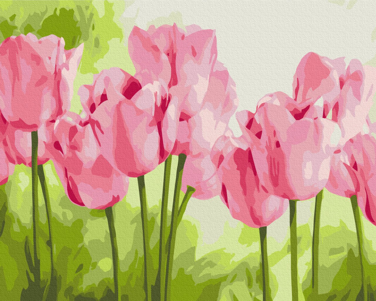 Painting by numbers Delicate tulips (BS31435)