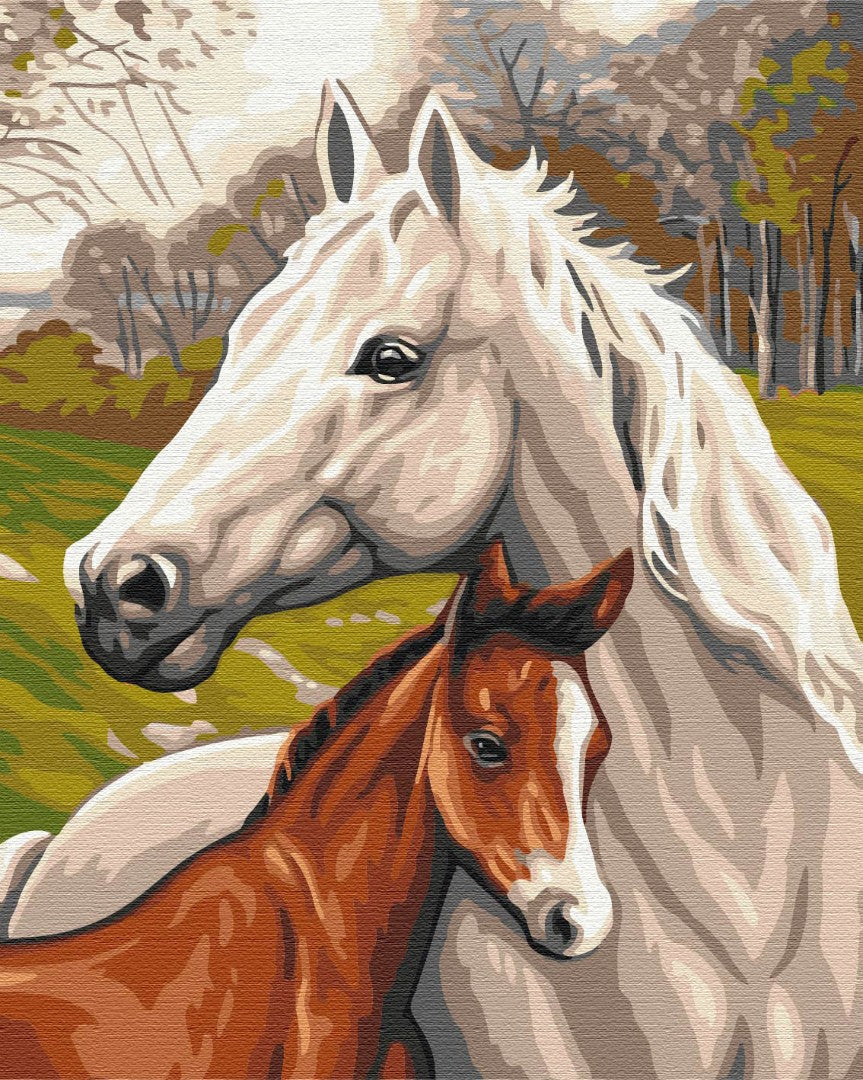 Painting by numbers Family of horses (BS33101)