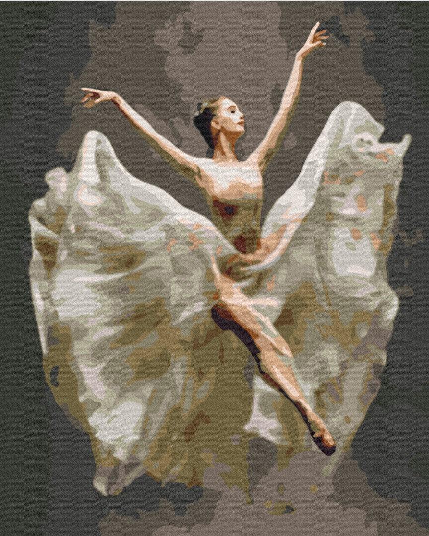 Painting by numbers Ballerina in flight (BS34356)