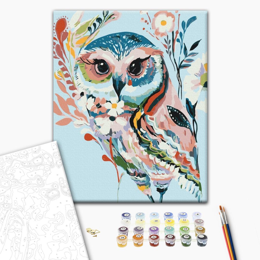 Painting by numbers Drawn owl (BS51958)