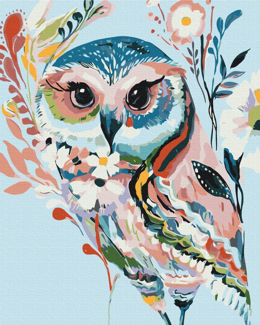 Painting by numbers Drawn owl (BS51958)