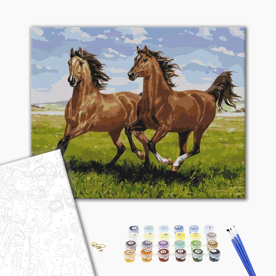 Painting by numbers Horses on a run (BS51966)