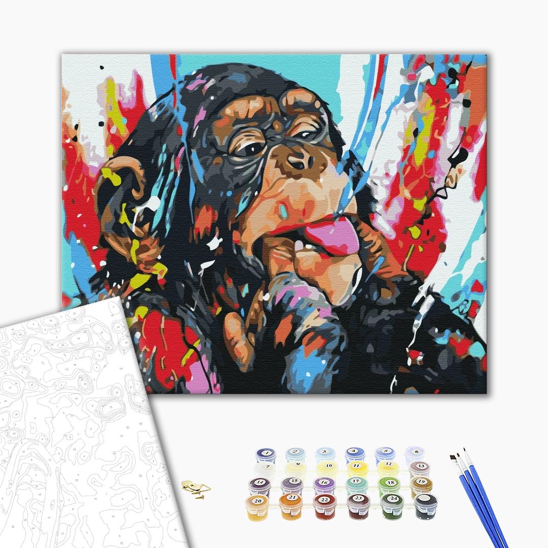 Painting by numbers Colored chimpanzee (BS51960)