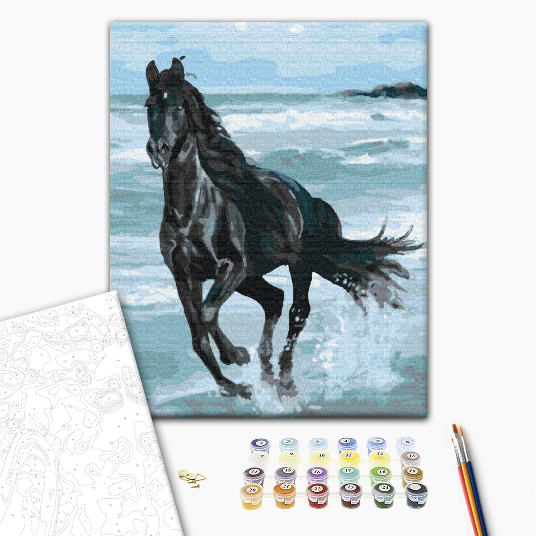 Painting by numbers Black Horse (BS29330)