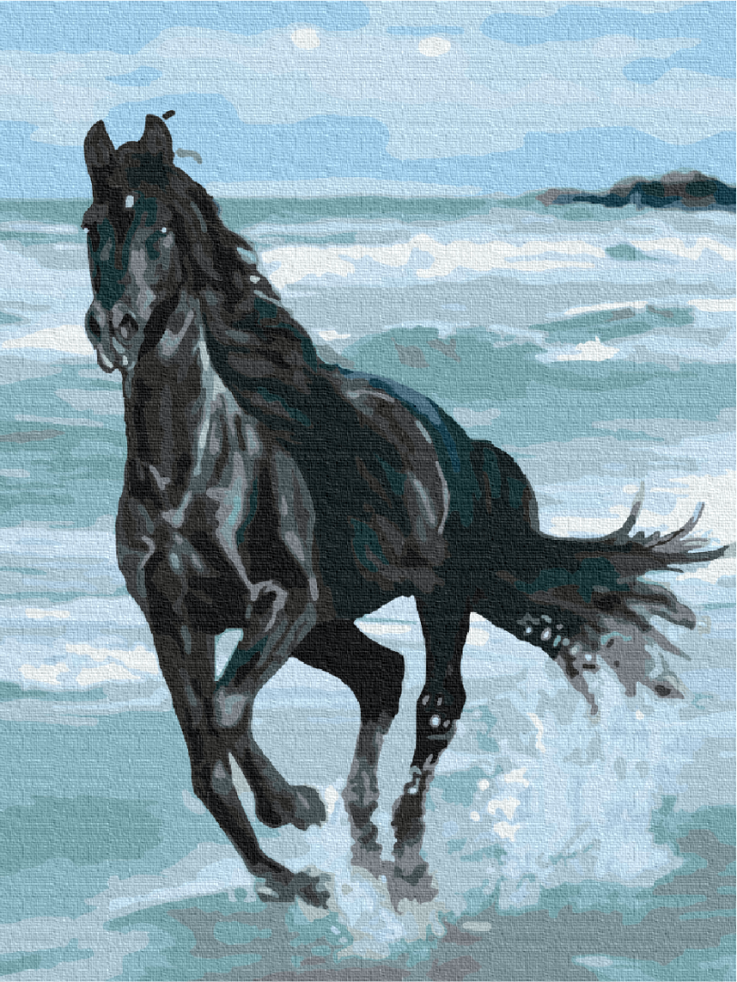 Painting by numbers Black Horse (BS29330)