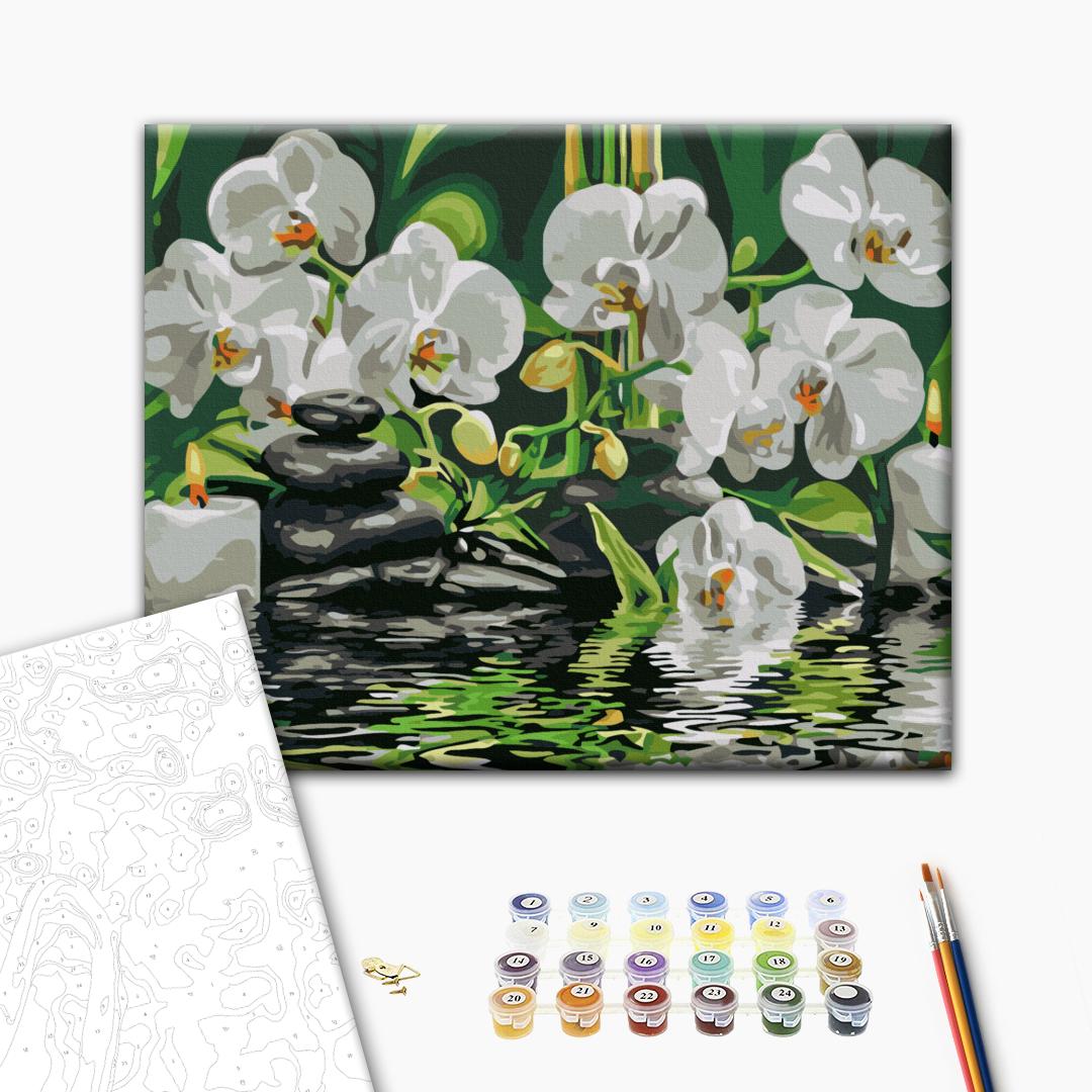 Painting by numbers Calm near orchids (BS29693)