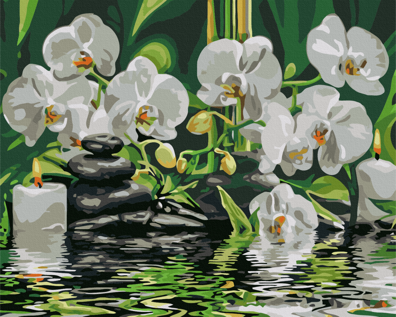 Painting by numbers Calm near orchids (BS29693)