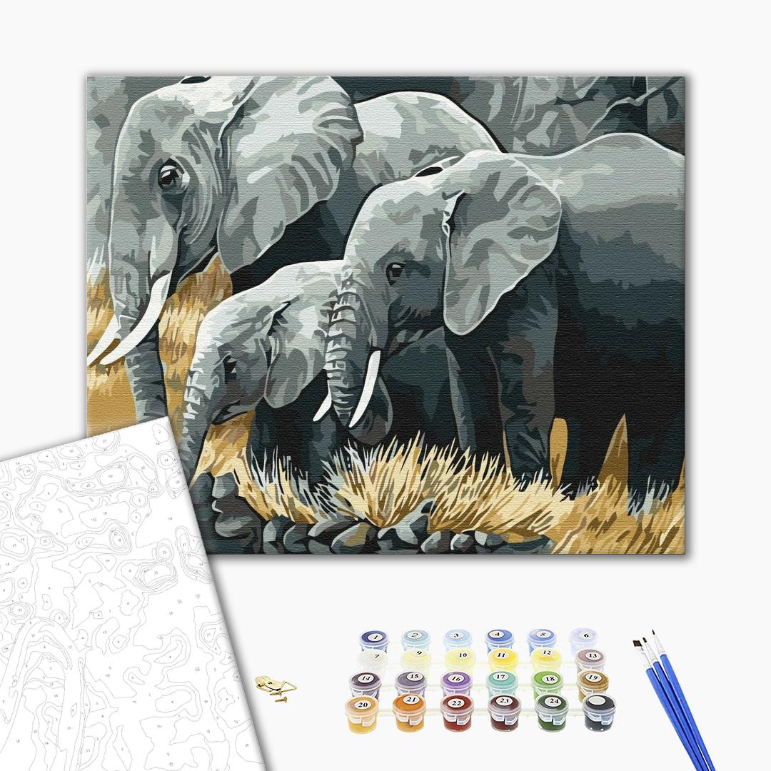 Painting by numbers Elephant family (BS3810)