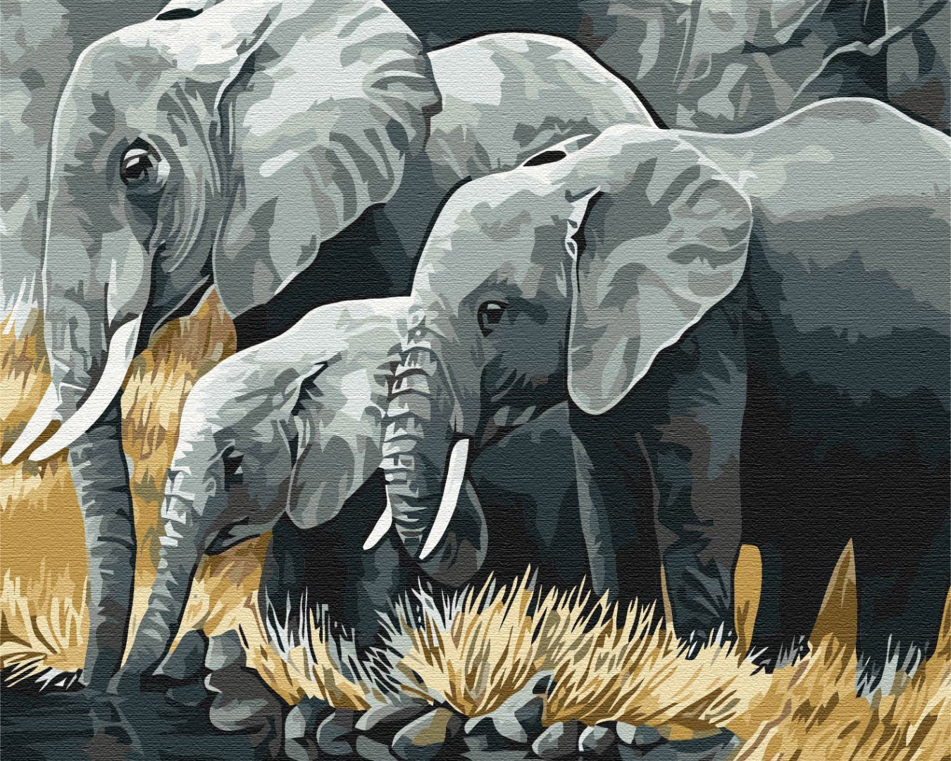 Painting by numbers Elephant family (BS3810)