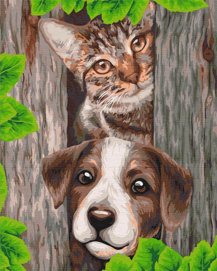 Painting by numbers Curious friends (BS52088)