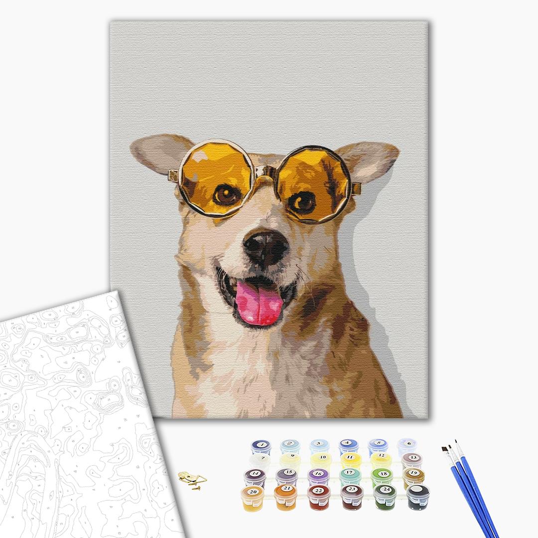 Painting by numbers Corgi hipster (BS52094)