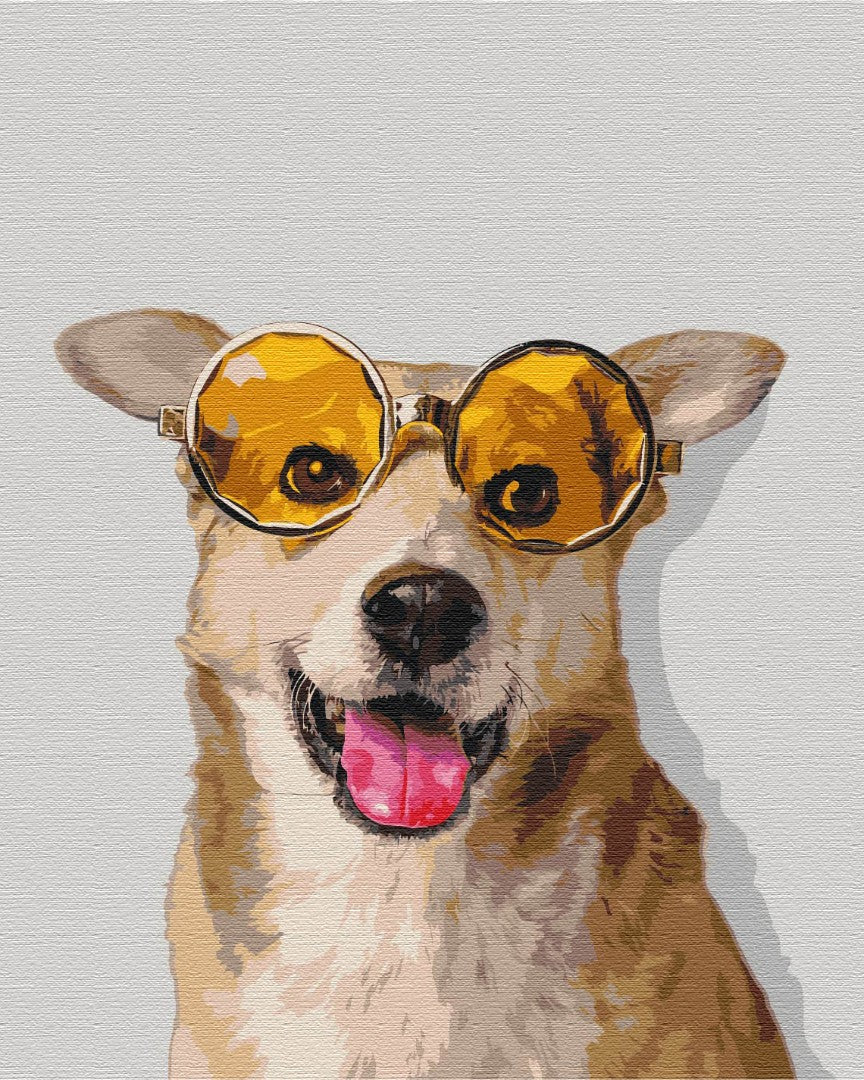 Painting by numbers Corgi hipster (BS52094)